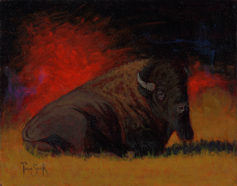 bison9
